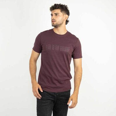 Polera Estampada Hombre Zibel