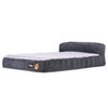 Cama para Mascota CIC Pet Dreams Talla M con Almohada