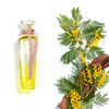 Perfume Adolfo Dominguez Agua Fresca Mimosa Coriandro EDT 120 ml