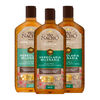 Pack Tío Nacho Herbolaria 2 Shampoo 415 ml + 1 Acondicionador 415 ml