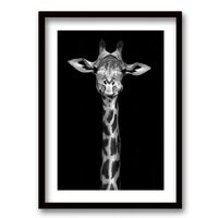 Cuadro Decorativo Retela Jirafa BN 50 x 35 cm
