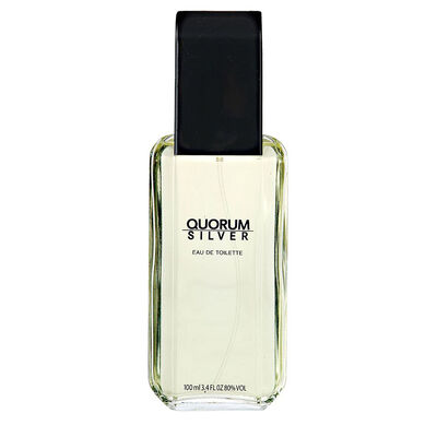 Imagen 1 del producto Perfume Quorum Silver EDT 100 ml
