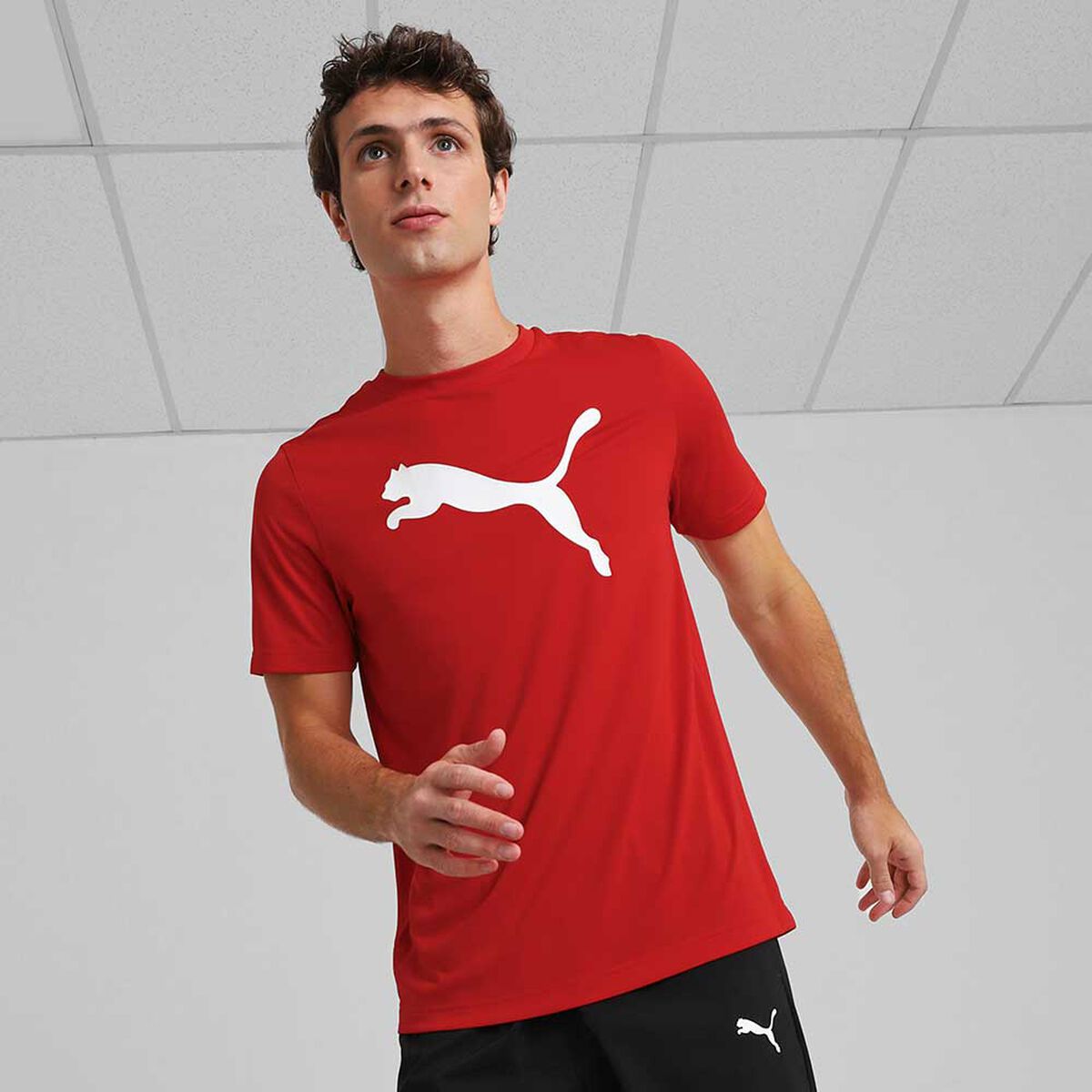 Polera Urbano Hombre Puma