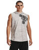 Polerón de Algodón Deportivo Hombre Under Armour