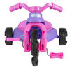 Triciclo para Niñas American Plastic