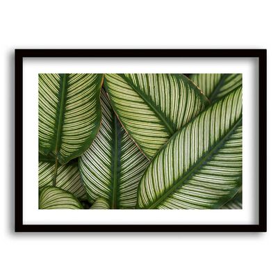 Cuadro Decorativo Retela Hojas Verde 40 x 30 cm