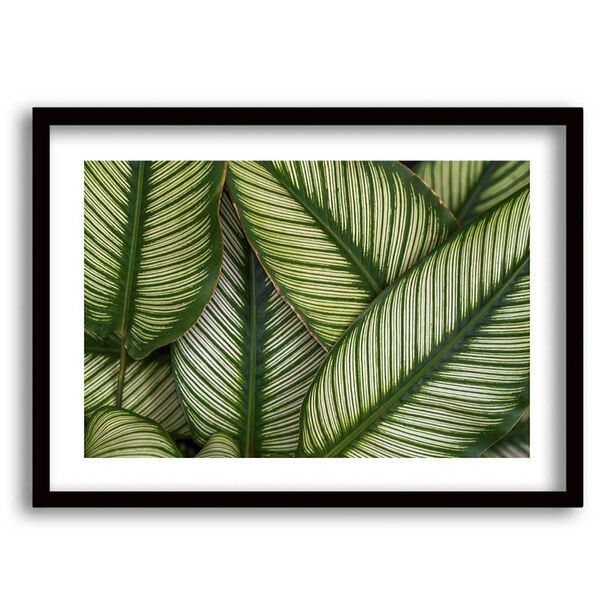 Cuadro Decorativo Retela Hojas Verde 40 x 30 cm