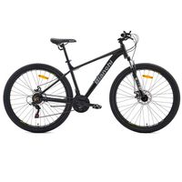 Bicicleta Mountain Bike Bianchi Evolution Aro 29