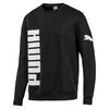 Polerón Hombre Puma Amplified Crew Fl