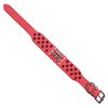 Collar Mascan Grueso Calavera Puntas Redondas Eco cuero para Perro