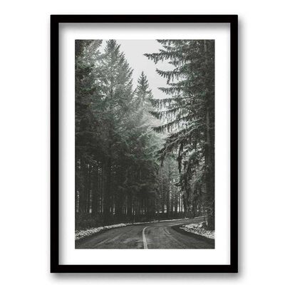 Cuadro Decorativo Retela Bosque BN II 70 x 50 cm