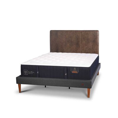 Imagen 2 del producto Cama Europea CIC King Premium + Respaldo