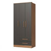 Closet Vekkahome Americano 3 Puertas 2 Cajones Grafito