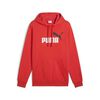 Polerón Urbano Hombre Puma