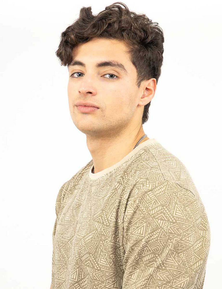 Polera Manga Corta Hombre Icono