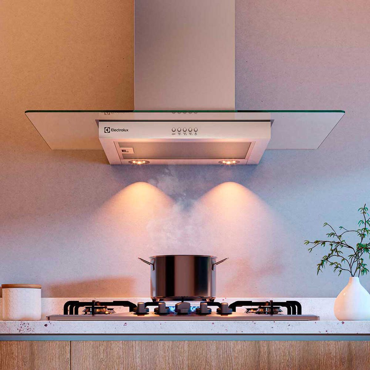 Campana Electrolux CE9VX