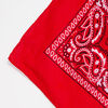 Bandana Fiorucci