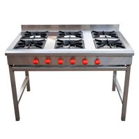 Anafe Ticgas 6 Quemadores Inox Glp