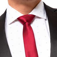 Corbata Slim Hombre Zibel Burdeo