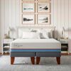 Cama Europea CIC Base Dividida 2 Plazas Excellence Plus + Respaldo Munich Alpino