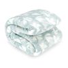 Frazada Sherpa Dreams 1,5 Plazas paris
