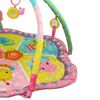 Gimnasio 3Play Rosa Bebesit