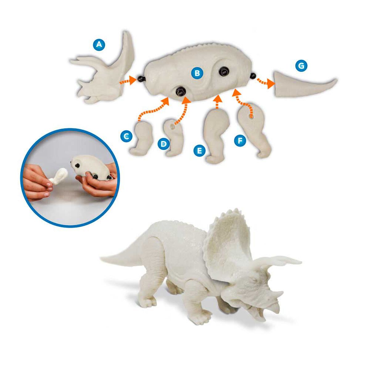 Kit Dino Art Triceratops  Dr. Steve Hunters