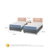 Duplex CIC 1 Plaza Excellence + Set Olmo