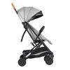 Coche de Paseo Terrain 2G Gris