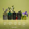 Perfume Hombre Gucci Guilty 90 ML