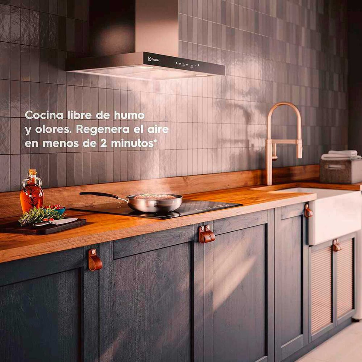 Campana Electrolux CE6TF