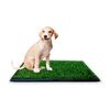 Baño Ecológico para Mascotas PetWoow