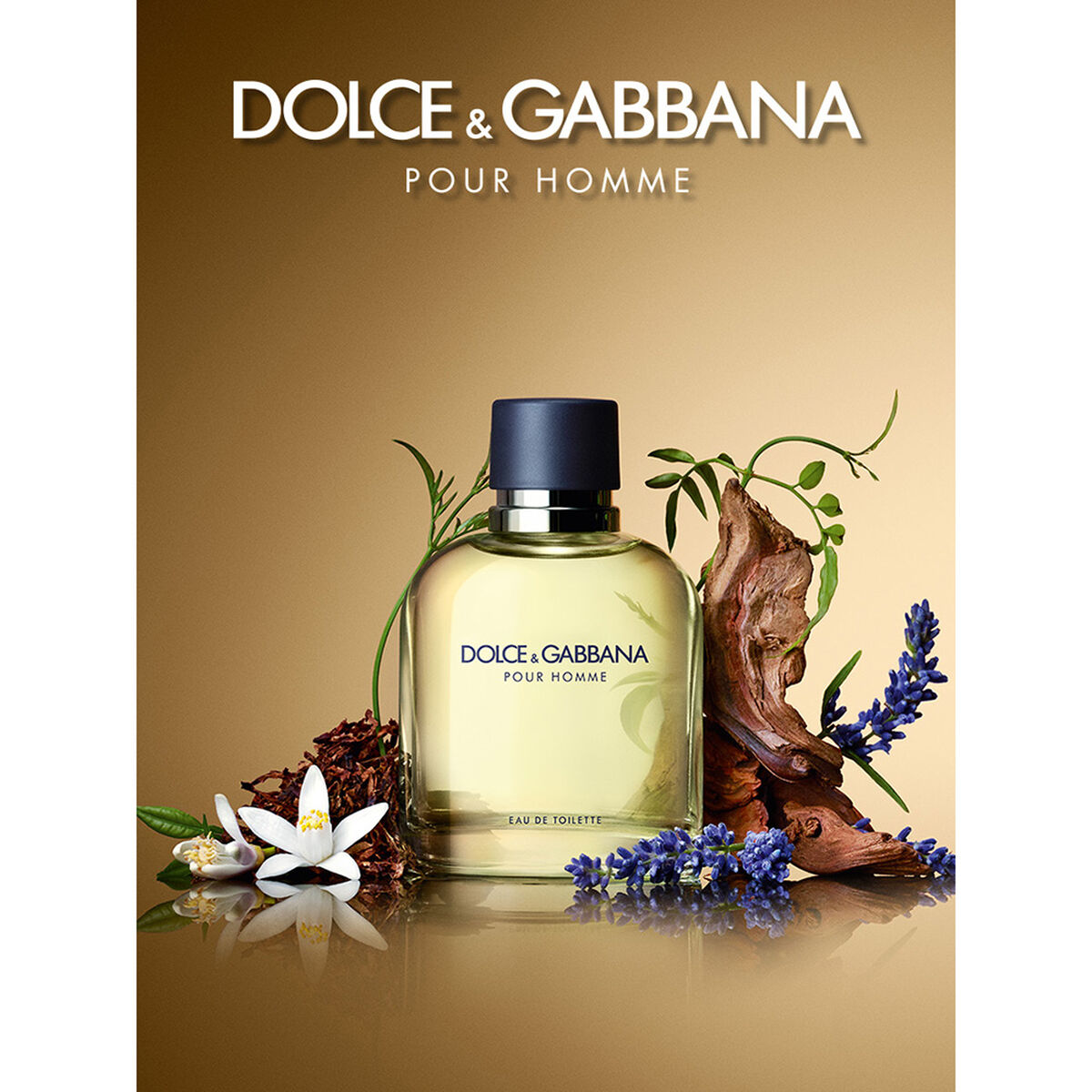 Perfume Dolce & Gabbana Pour Homme EDT 75ml