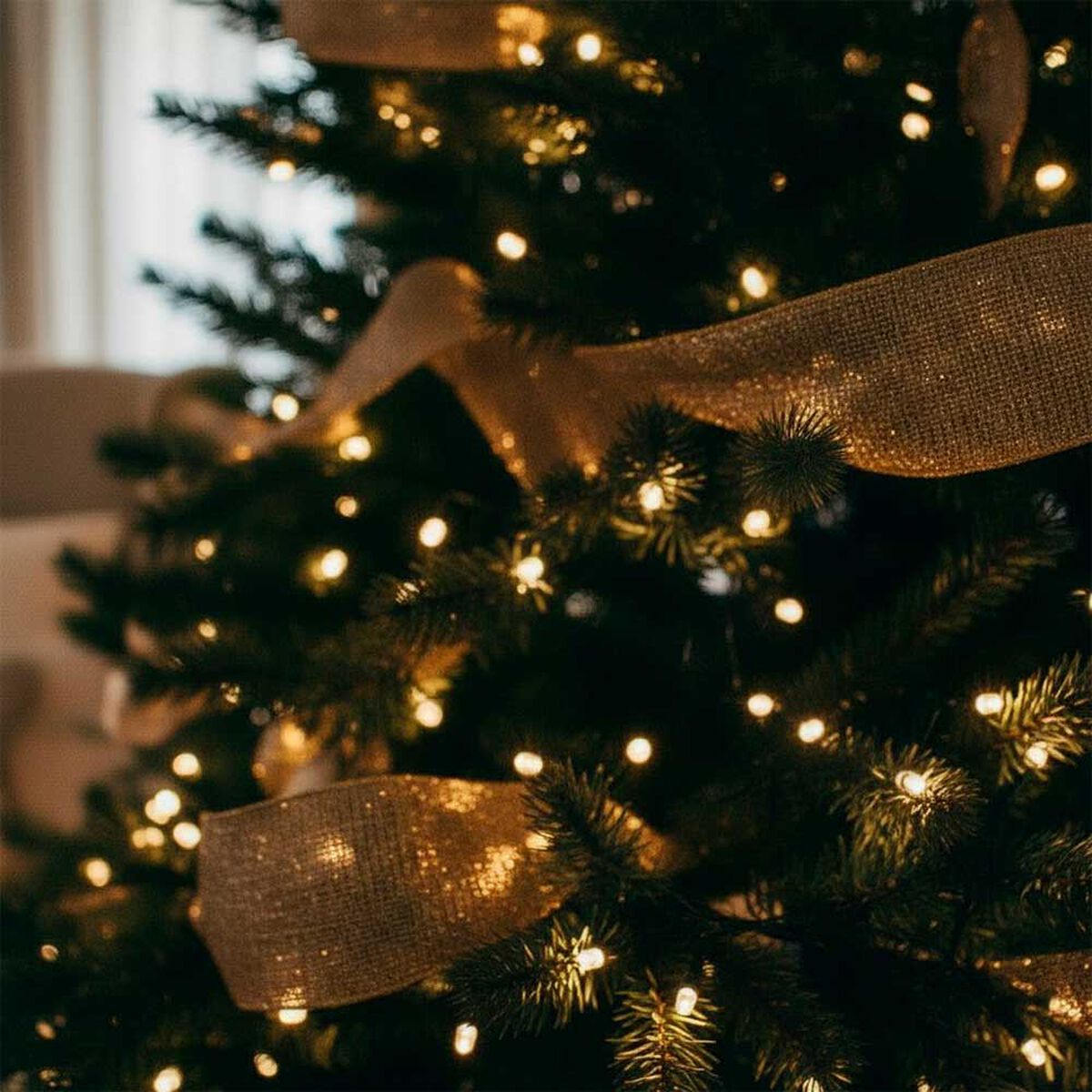 Set 200 Luces LED para &Aacute;rbol de Navidad Casanova C34VRI4054 Blanco C&aacute;lido