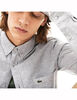 Camisa de Algodón Hombre Lacoste