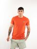 Polera Deportiva Algodón Hombre Lotto