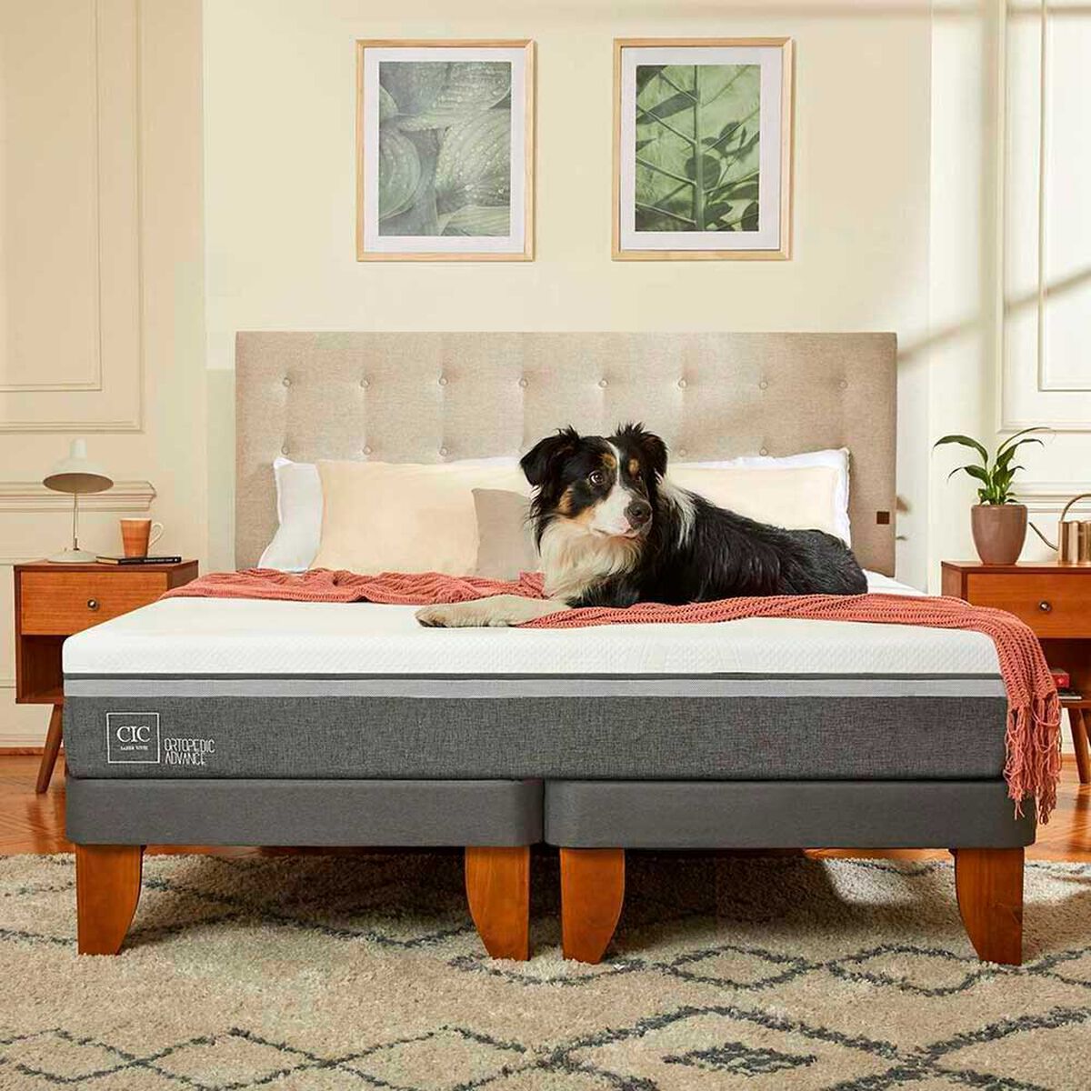 Cama Europea CIC Base Dividida 2 Plazas Ortopedic Advance + Respaldo + 2 Veladores Gales