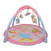 Gimnasio Funplay Rosado Bebesit