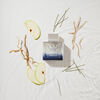 Perfume Antonio Banderas King Of Seduction EDT 50 ml