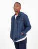 Chaqueta Hombre Levis