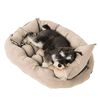 Cama Para Mascota PetWoow