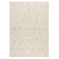 Alfombra Elements & Co Desert Grande 290x200 Beige