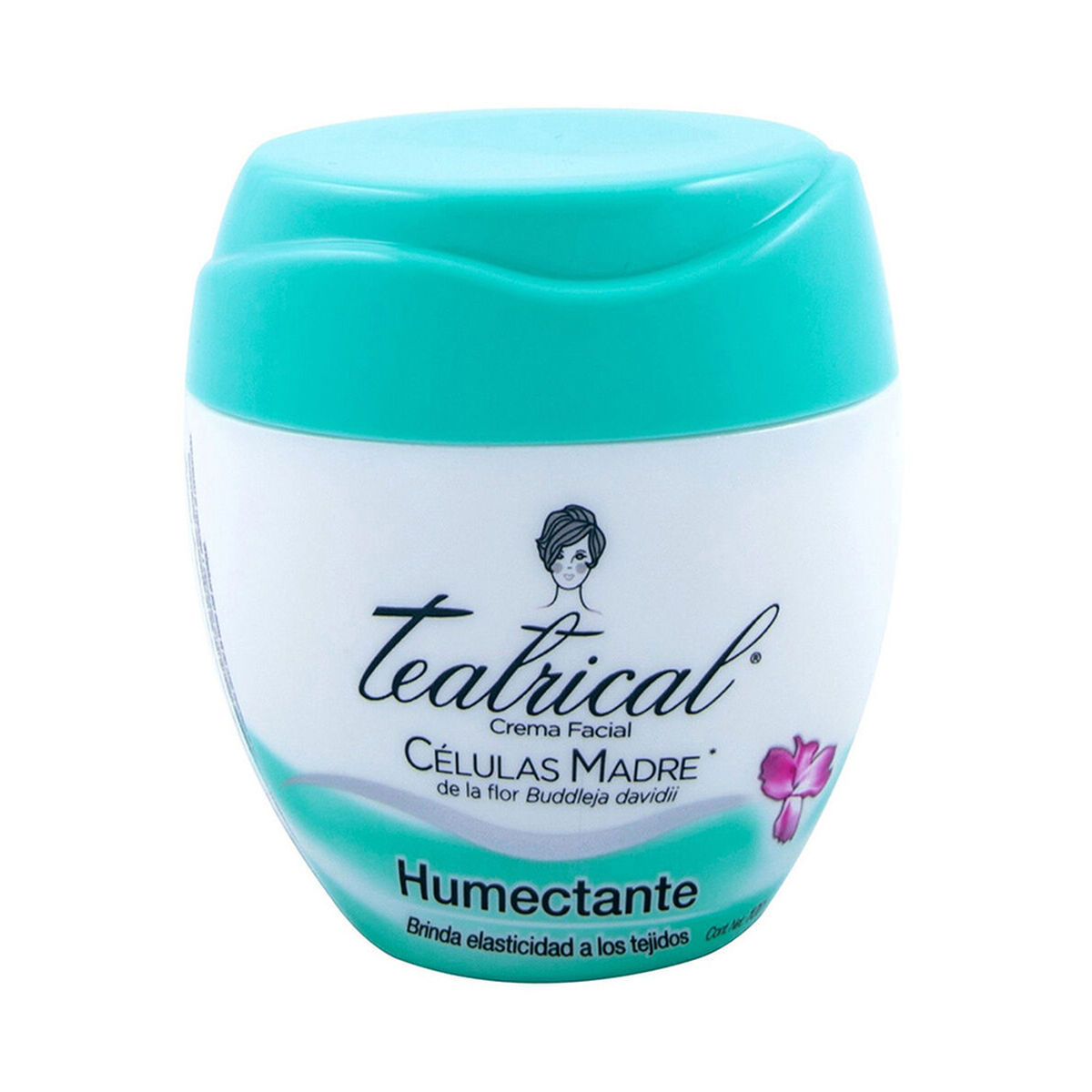 Teatrical Crema Facial Humectante 100 gr