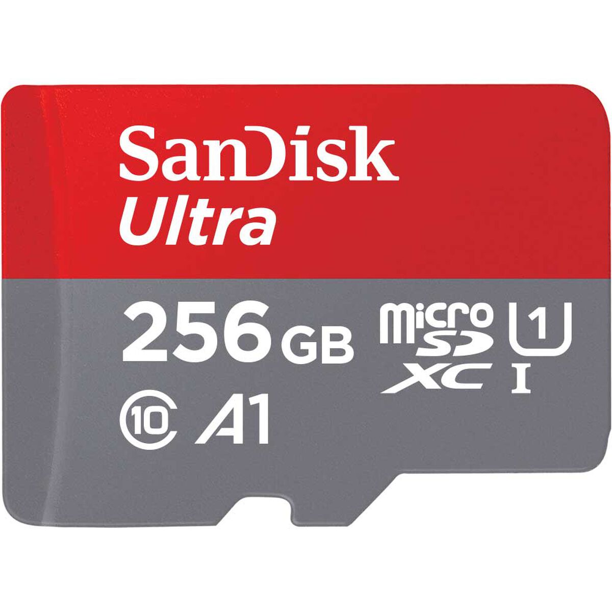 Memoria Sandisk SDSQUAC-256GB
