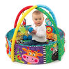 Gimnasio y Piscina Playgro