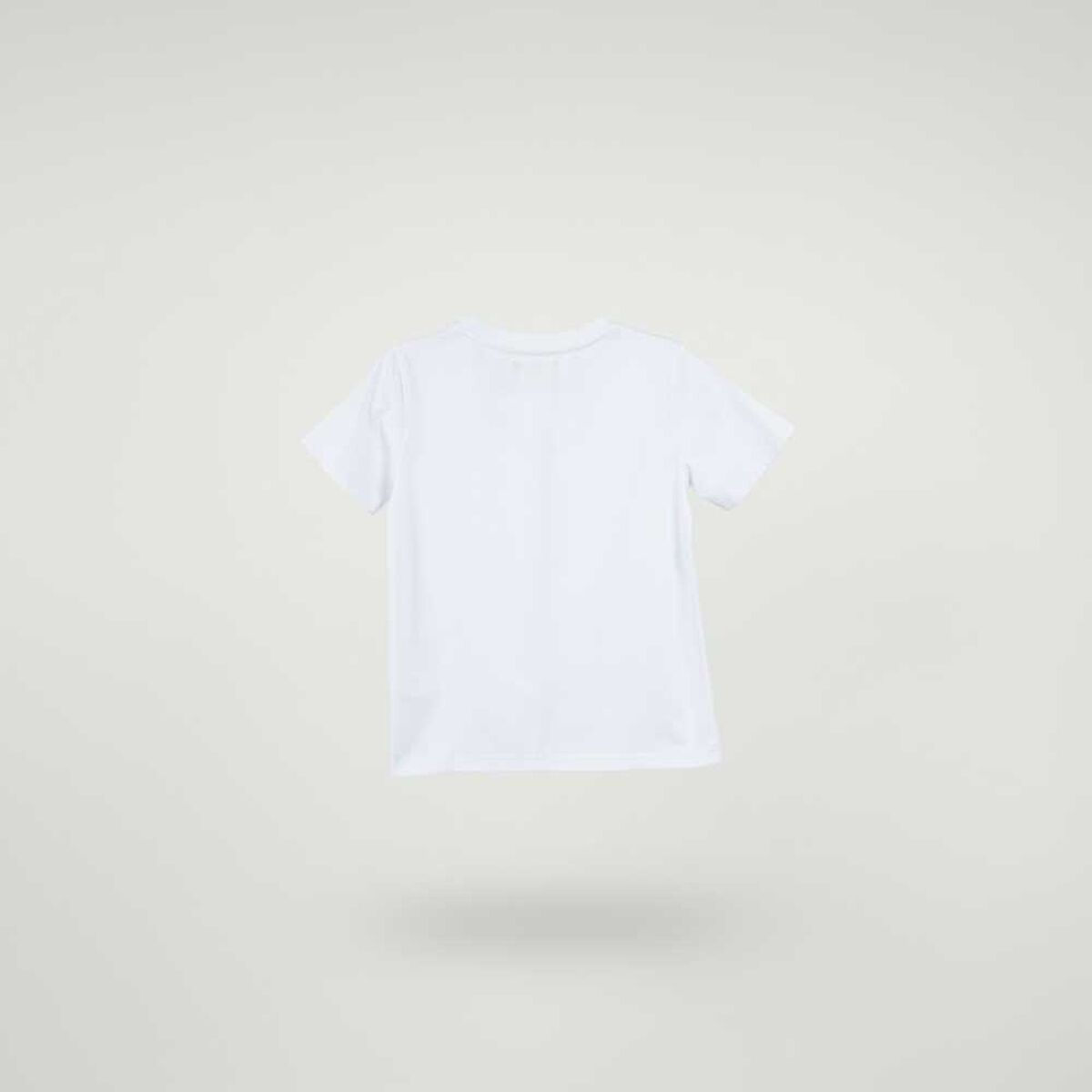 Pack 2 Camiseta Manga Larga Ni&ntilde;o Talla 6 a XL Crescendo