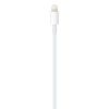 Cable USB-C a Lightning Apple 1 Metro
