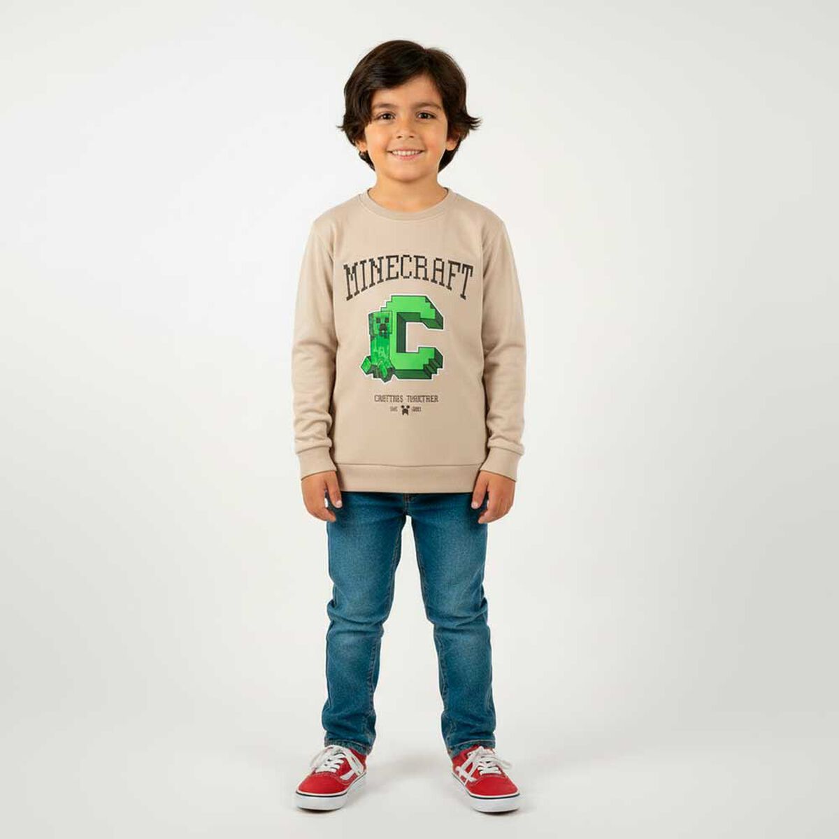 Poler&oacute;n Minecraft Ni&ntilde;o Licencias