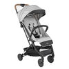 Coche de Paseo Terrain 2G Gris