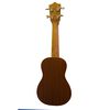 Ukelele Alaguez 21''